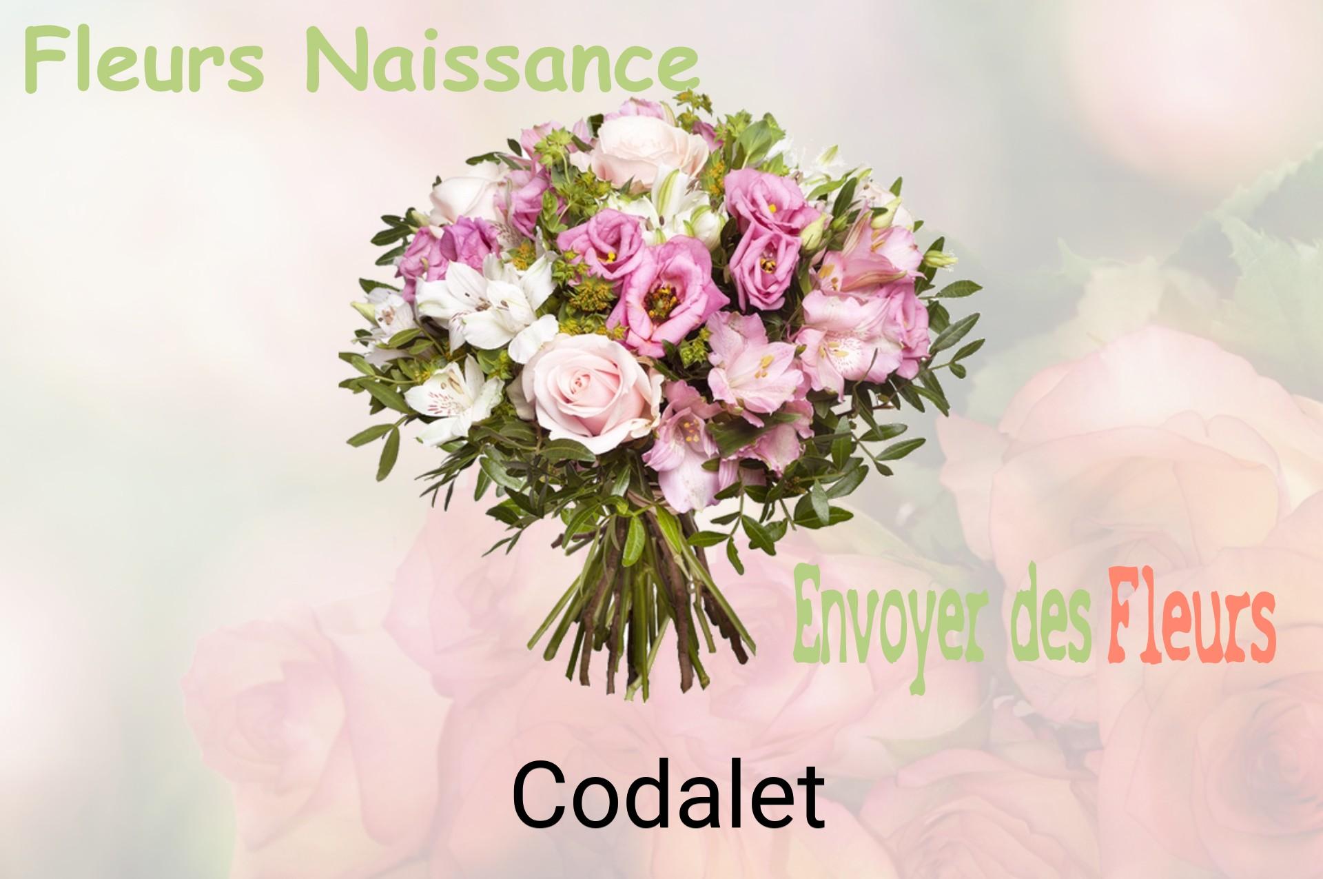 Bouquet de fleurs de naissance livré à Codalet